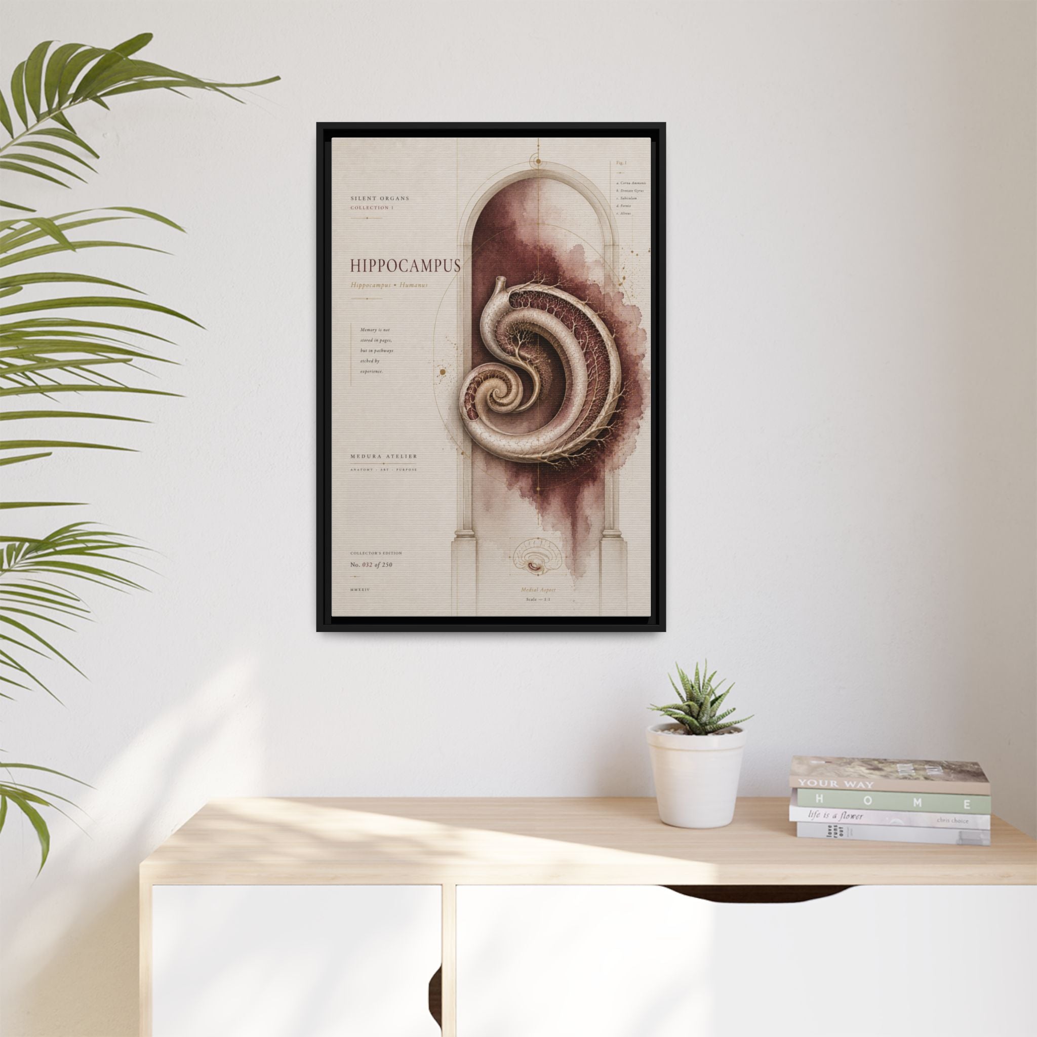 Silent Organs – Hippocampus Wall Art | Luxury Neuroscience Canvas Print | Museum-Inspired Fine Art