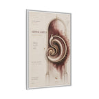 Silent Organs – Hippocampus Wall Art | Luxury Neuroscience Canvas Print | Museum-Inspired Fine Art