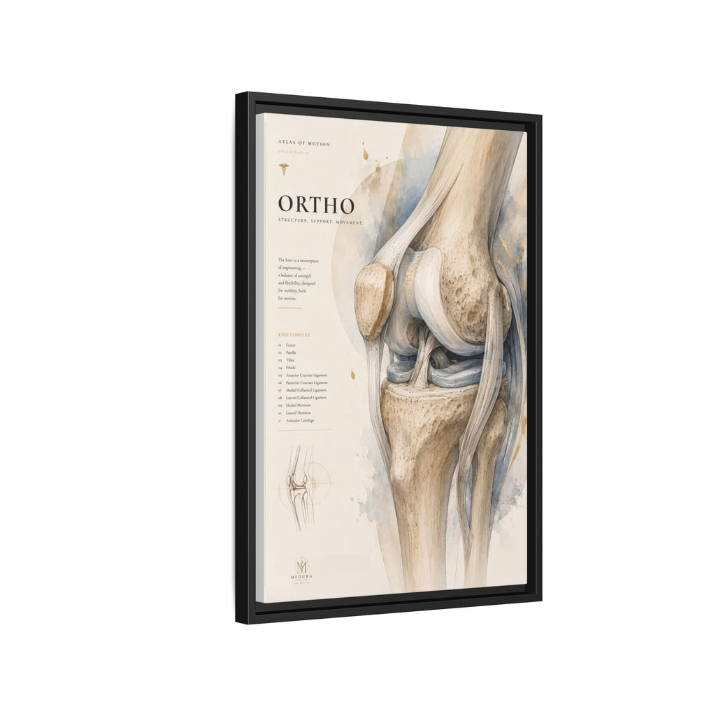 Orthopaedic Knee Anatomy Wall Art | Luxury Orthopedic Canvas Print | Museum-Inspired Fine Art