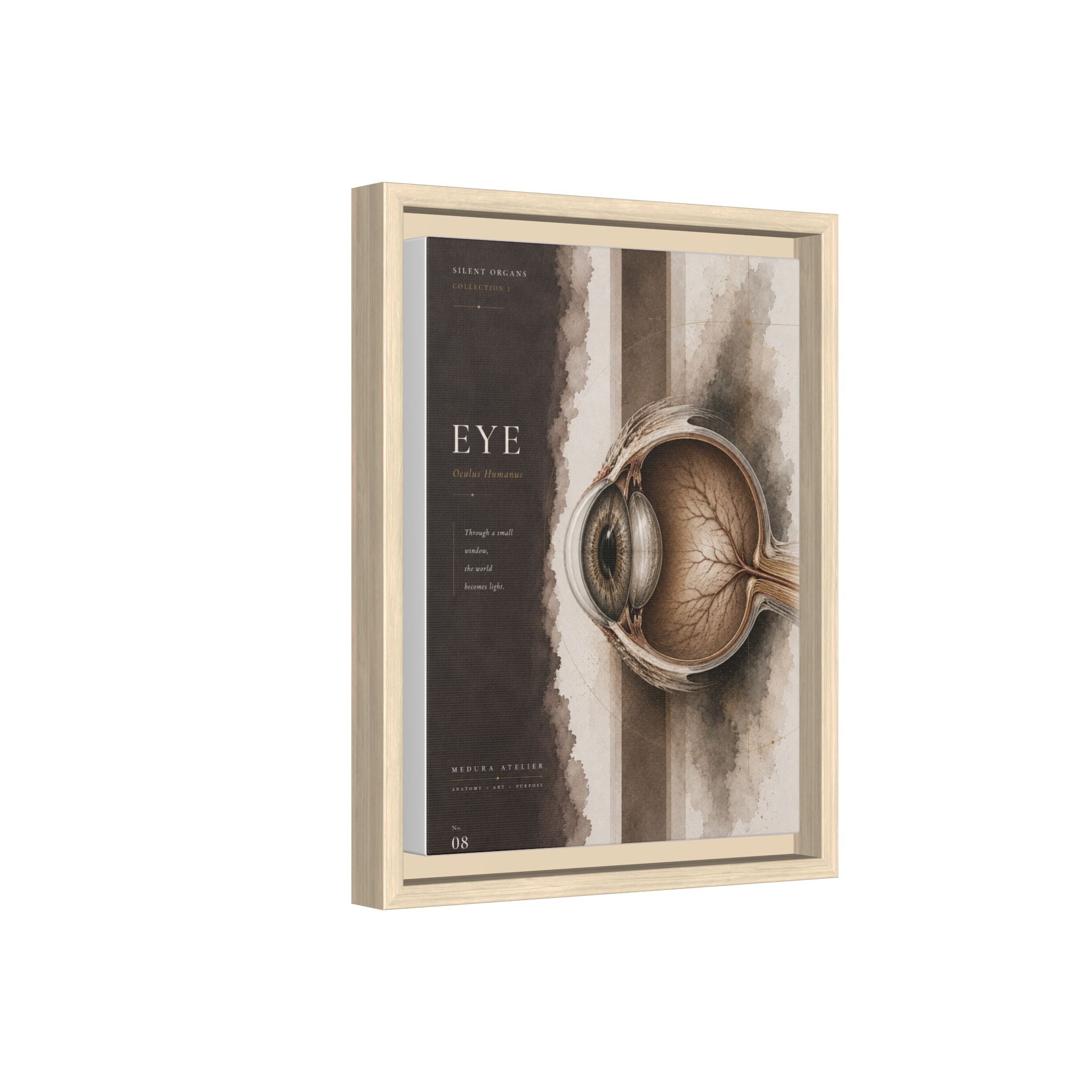 Silent Organs – Eye Wall Art | Luxury Anatomical Canvas Print | Museum-Inspired Fine Art