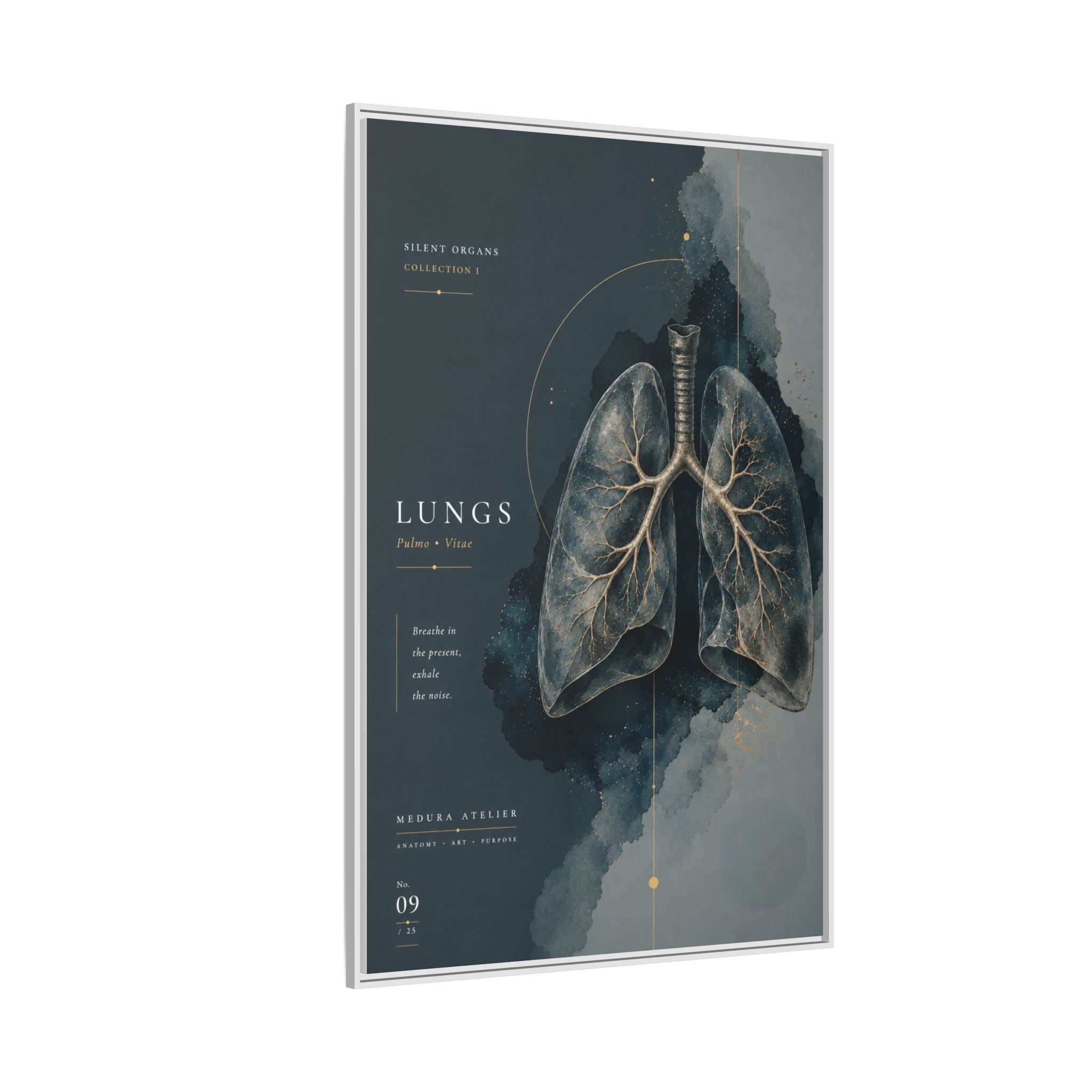Silent Organs – Lungs Wall Art | Luxury Anatomical Canvas Print | Museum-Inspired Fine Art
