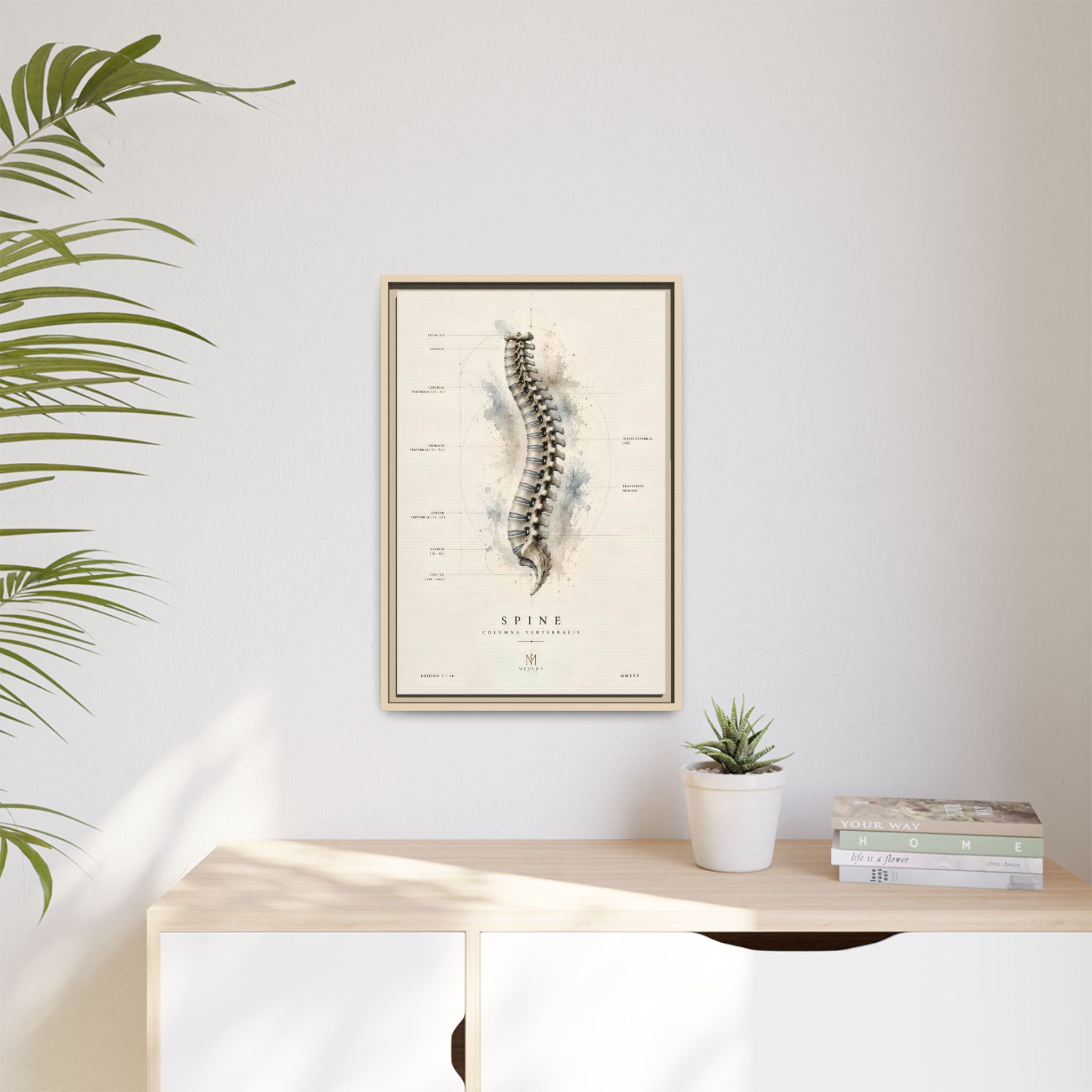 Anatomical Spine Wall Art | Luxury Vertebral Column Canvas Print | Museum-Inspired Fine Art
