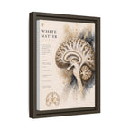 White Matter Brain Wall Art | Luxury Neuroscience Canvas Print | Museum-Inspired Fine Art