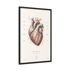 Anatomical Heart Wall Art | Luxury Medical Canvas Print | Museum-Inspired Fine Art