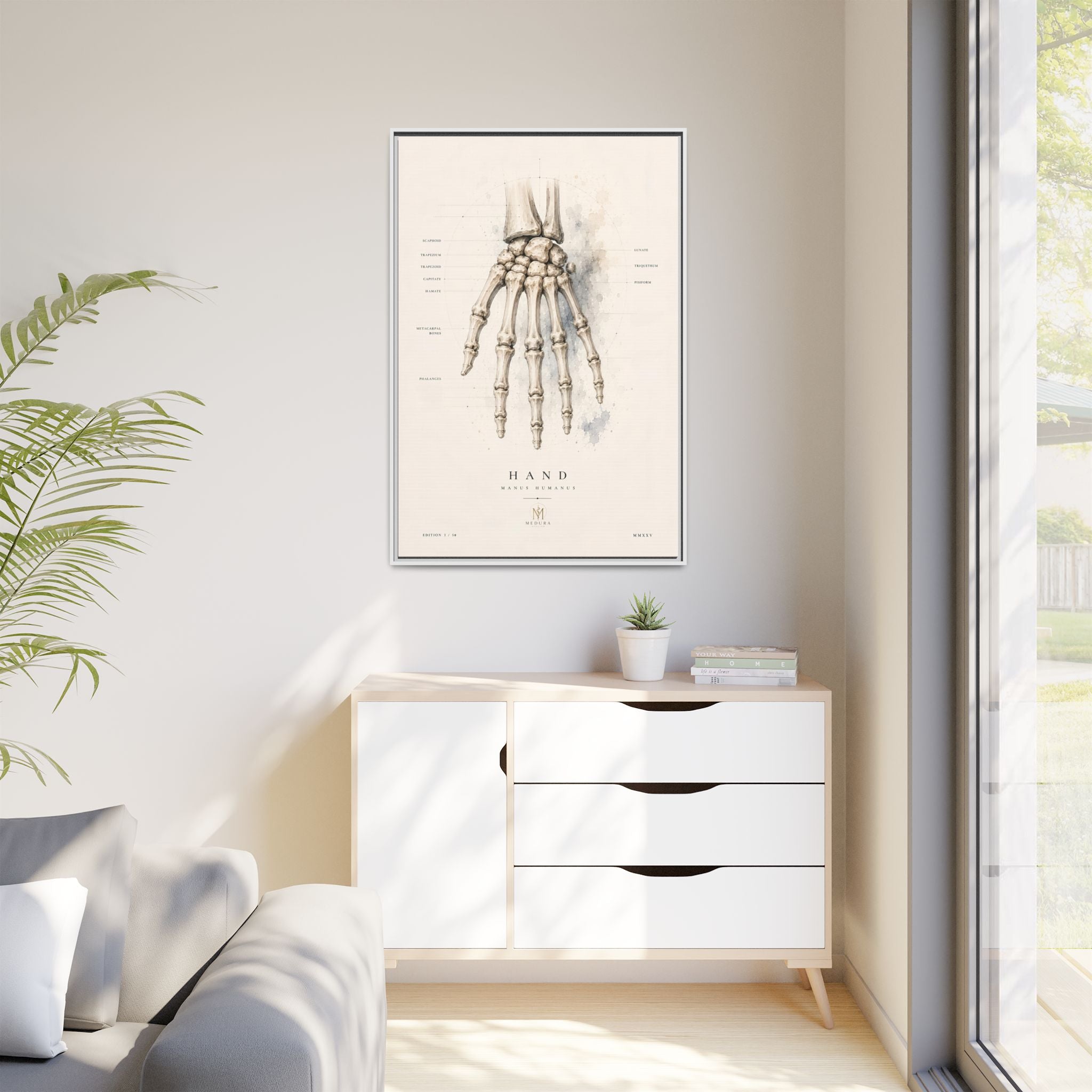Anatomical Hand Skeleton Wall Art | Luxury Orthopaedic Canvas Print | Museum-Inspired Fine Art