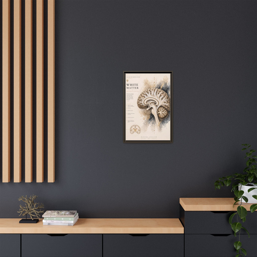 White Matter Brain Wall Art | Luxury Neuroscience Canvas Print | Museum-Inspired Fine Art
