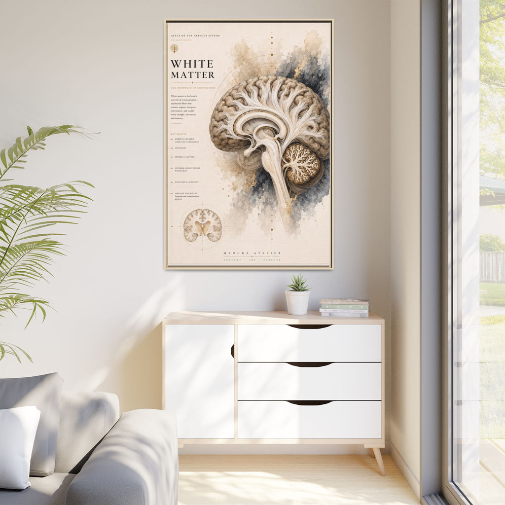 White Matter Brain Wall Art | Luxury Neuroscience Canvas Print | Museum-Inspired Fine Art