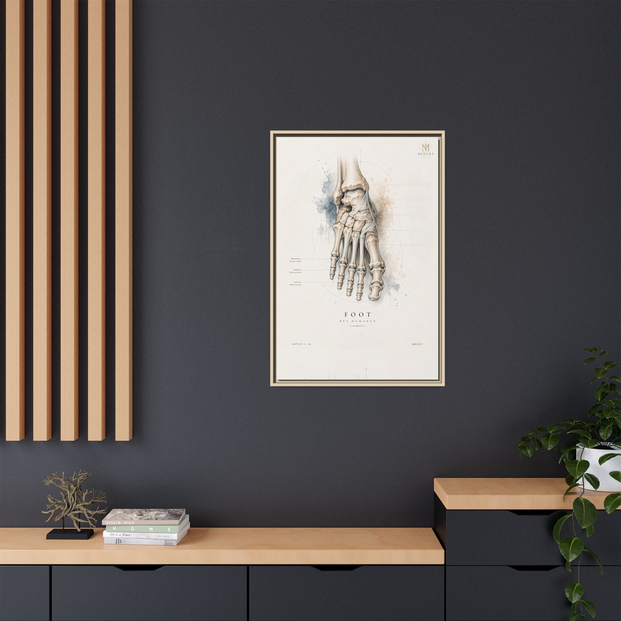 Anatomical Foot Skeleton Wall Art | Luxury Podiatry Canvas Print | Museum-Inspired Fine Art