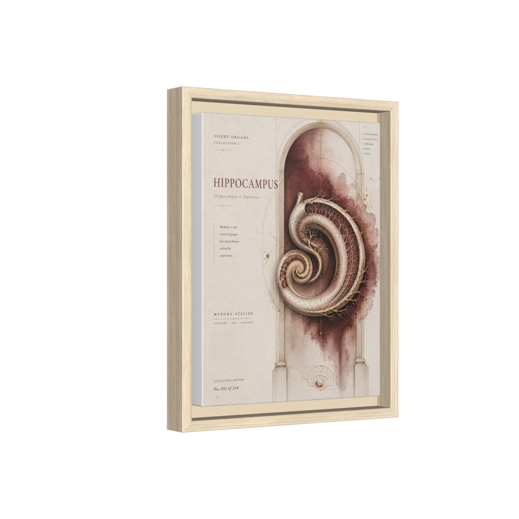 Silent Organs – Hippocampus Wall Art | Luxury Neuroscience Canvas Print | Museum-Inspired Fine Art