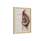 Silent Organs – Hippocampus Wall Art | Luxury Neuroscience Canvas Print | Museum-Inspired Fine Art
