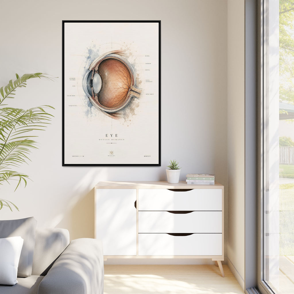 Anatomical Eye Canvas Print | Luxury Ophthalmology Wall Art | Museum-Inspired Medical Decor