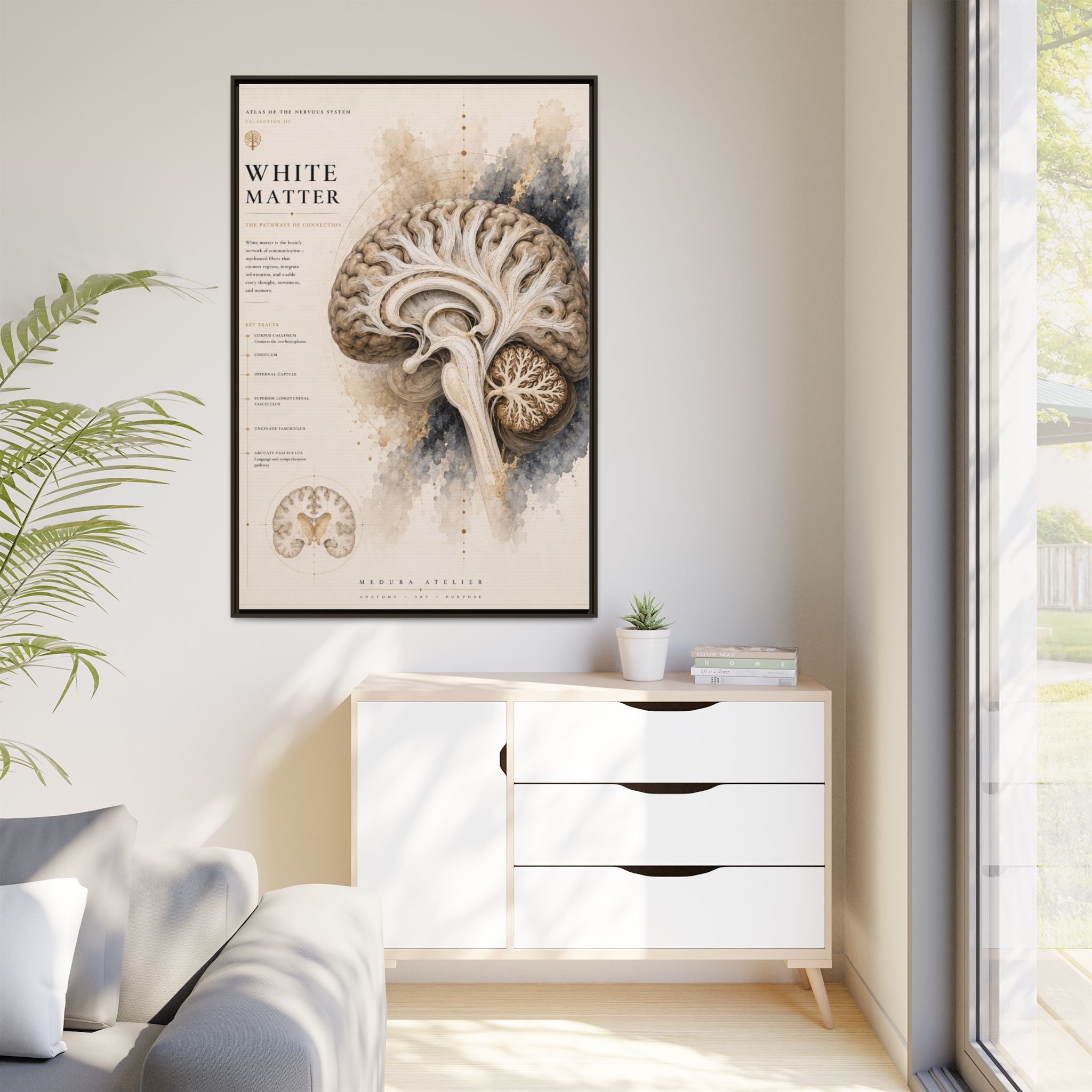 White Matter Brain Wall Art | Luxury Neuroscience Canvas Print | Museum-Inspired Fine Art