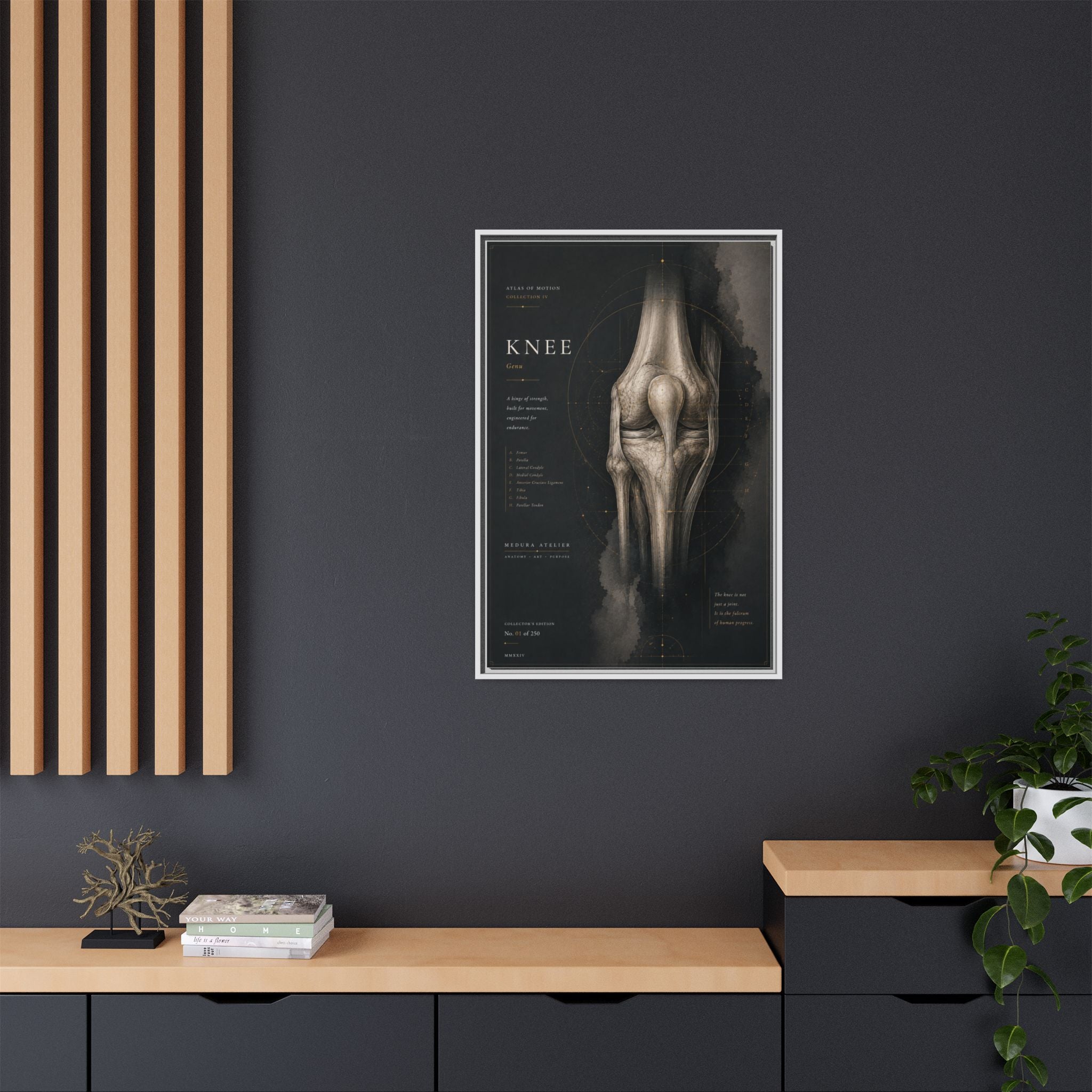 Atlas of Motion – Knee Wall Art | Luxury Orthopedic Canvas Print | Museum-Inspired Fine Art