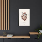 Anatomical Heart Wall Art | Luxury Medical Canvas Print | Museum-Inspired Fine Art