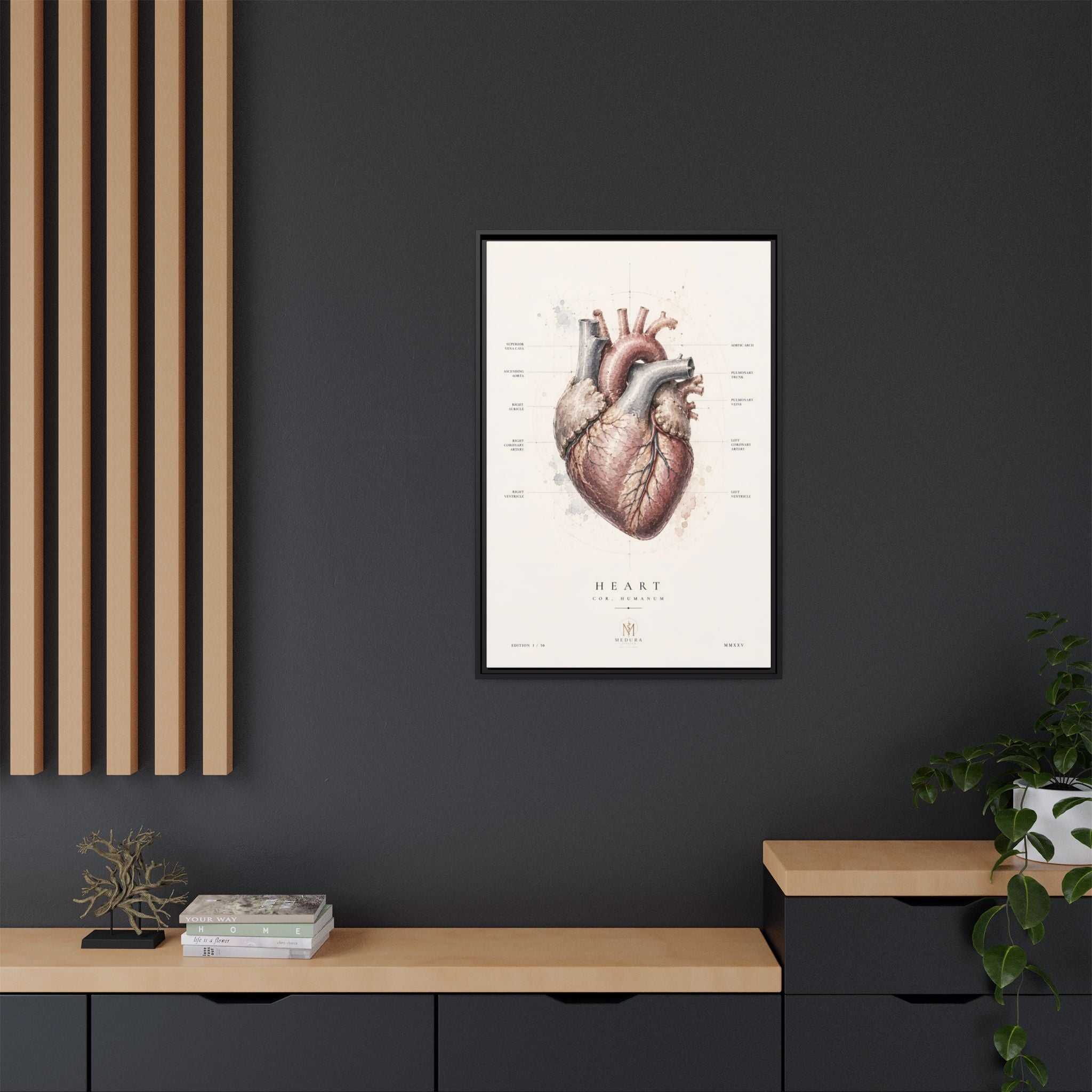 Anatomical Heart Wall Art | Luxury Medical Canvas Print | Museum-Inspired Fine Art