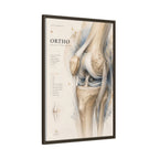 Orthopaedic Knee Anatomy Wall Art | Luxury Orthopedic Canvas Print | Museum-Inspired Fine Art