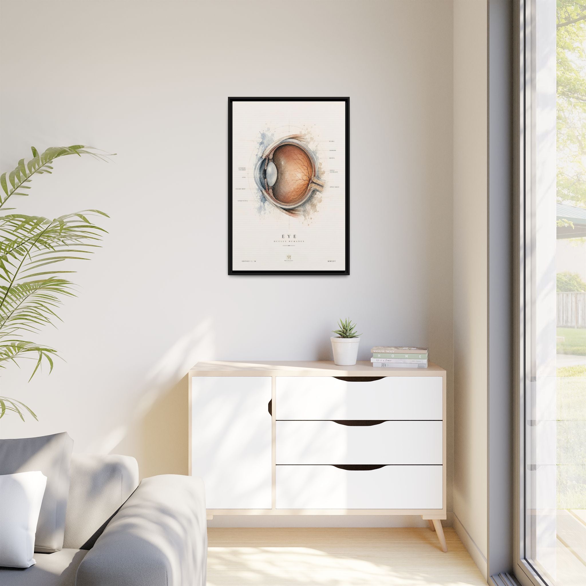 Anatomical Eye Canvas Print | Luxury Ophthalmology Wall Art | Museum-Inspired Medical Decor