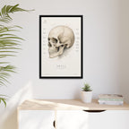 Anatomical Skull Wall Art | Luxury Medical Canvas Print | Museum-Inspired Fine Art