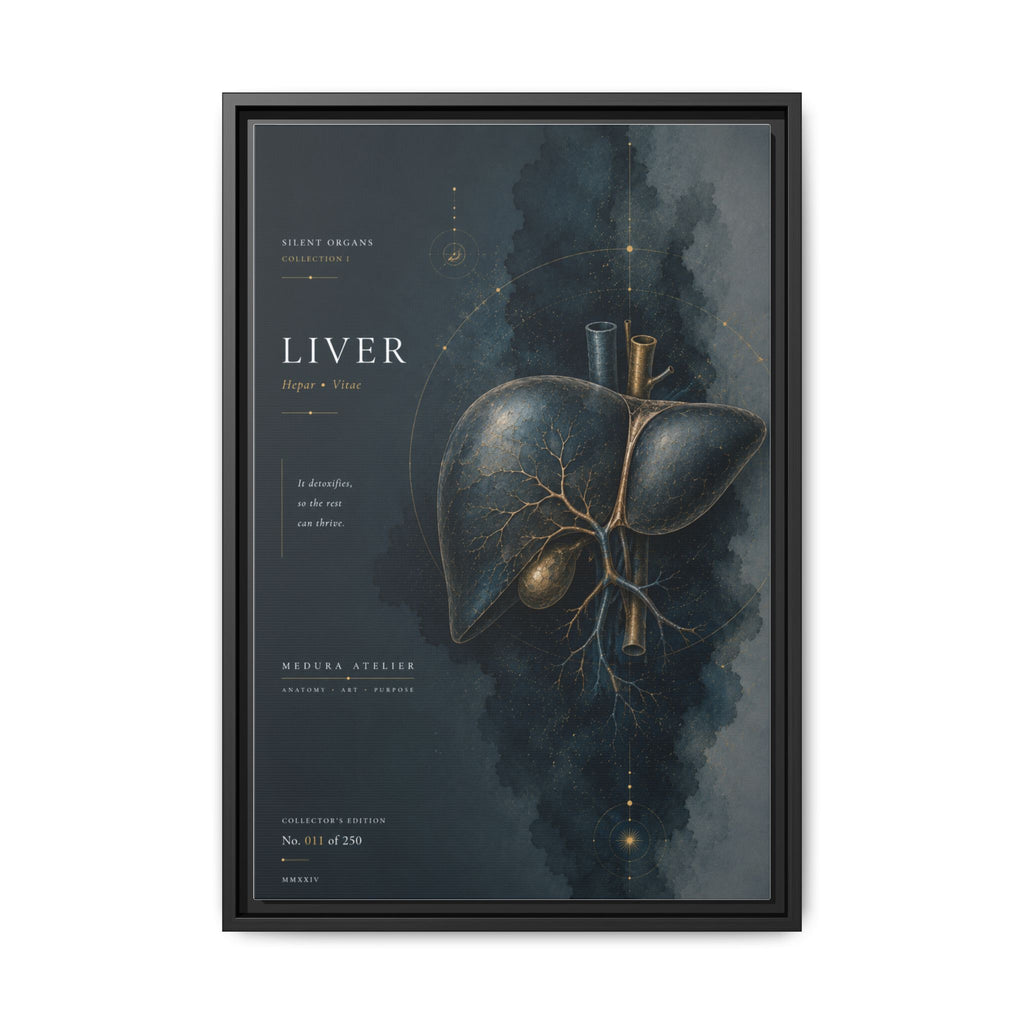 Silent Organs – Liver Wall Art | Luxury Anatomical Canvas Print | Museum-Inspired Fine Art