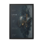 Silent Organs – Liver Wall Art | Luxury Anatomical Canvas Print | Museum-Inspired Fine Art
