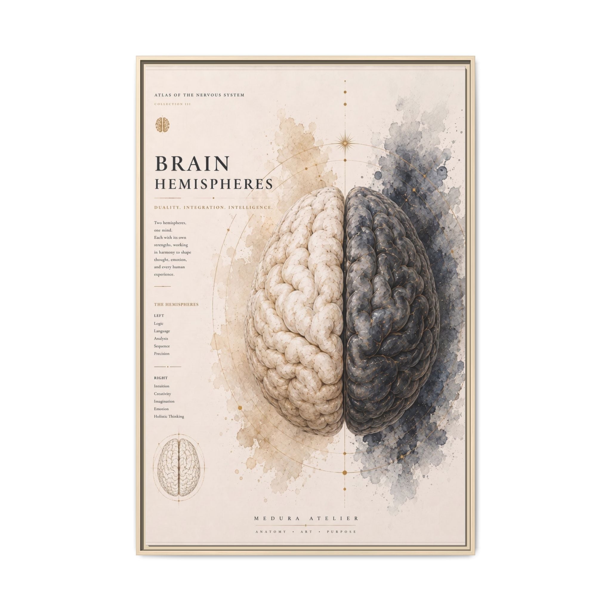 Brain Hemispheres Wall Art | Luxury Neuroscience Canvas Print | Museum-Inspired Fine Art