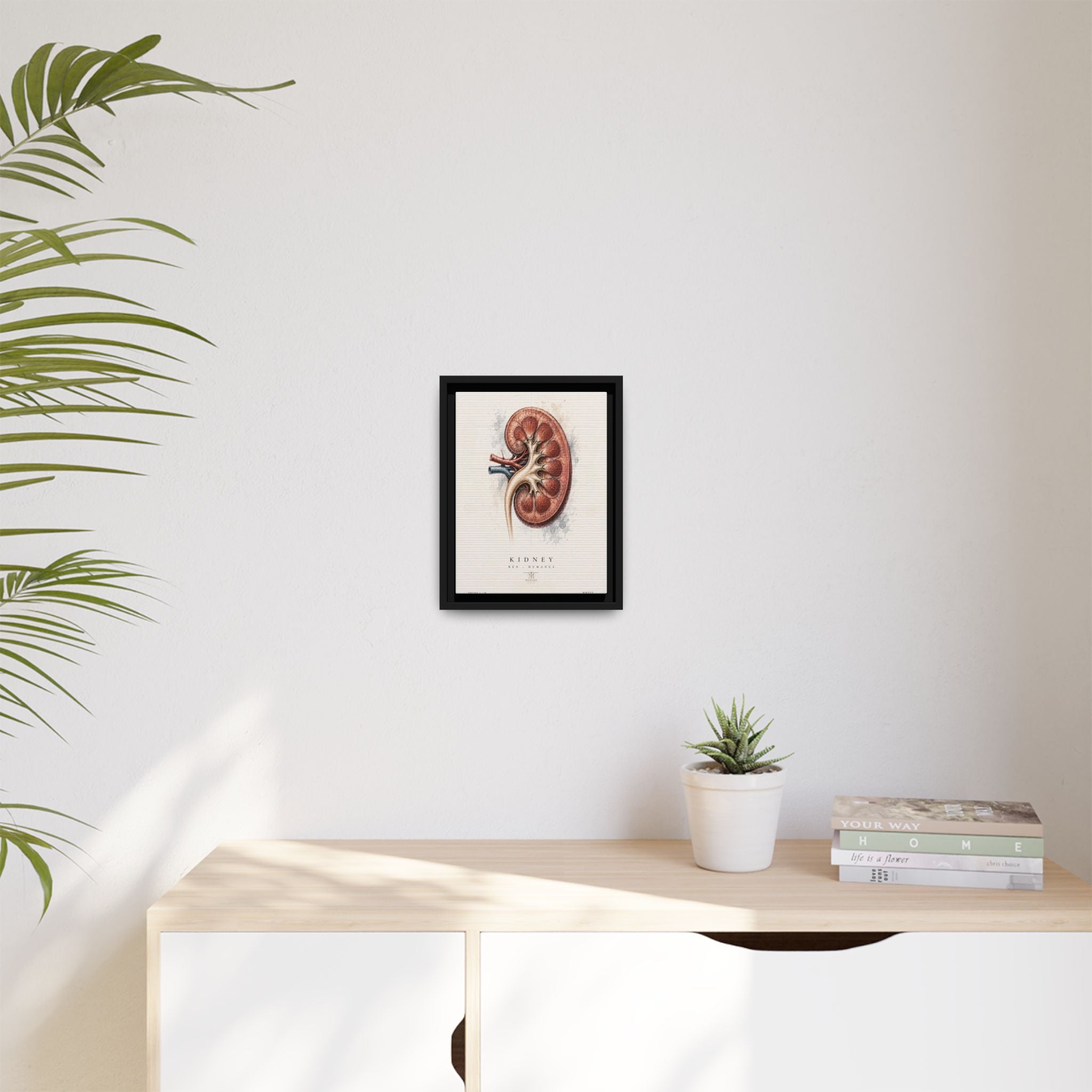 Anatomical Kidney Wall Art | Luxury Nephrology Canvas Print | Museum-Inspired Fine Art