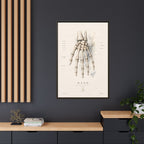 Anatomical Hand Skeleton Wall Art | Luxury Orthopaedic Canvas Print | Museum-Inspired Fine Art