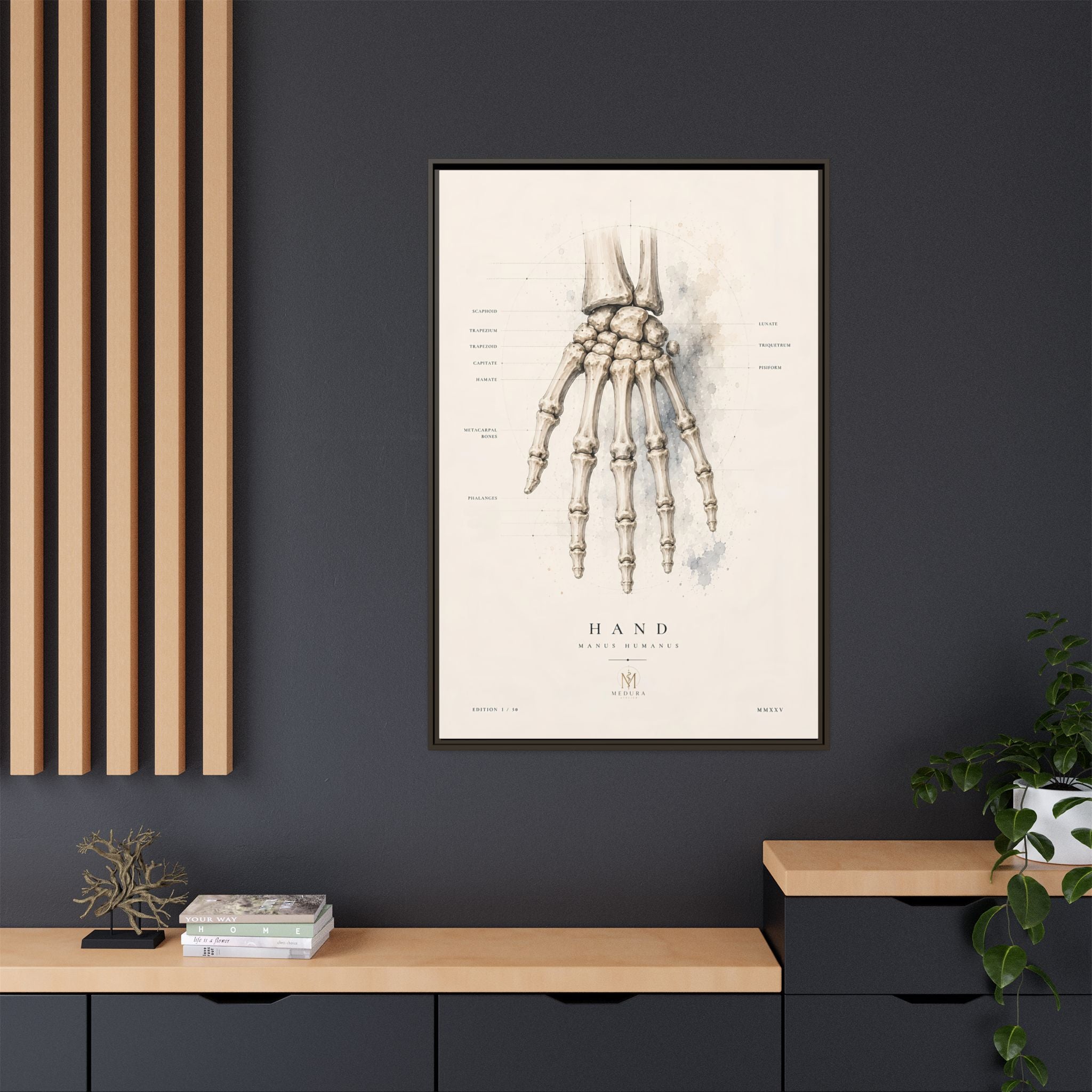 Anatomical Hand Skeleton Wall Art | Luxury Orthopaedic Canvas Print | Museum-Inspired Fine Art
