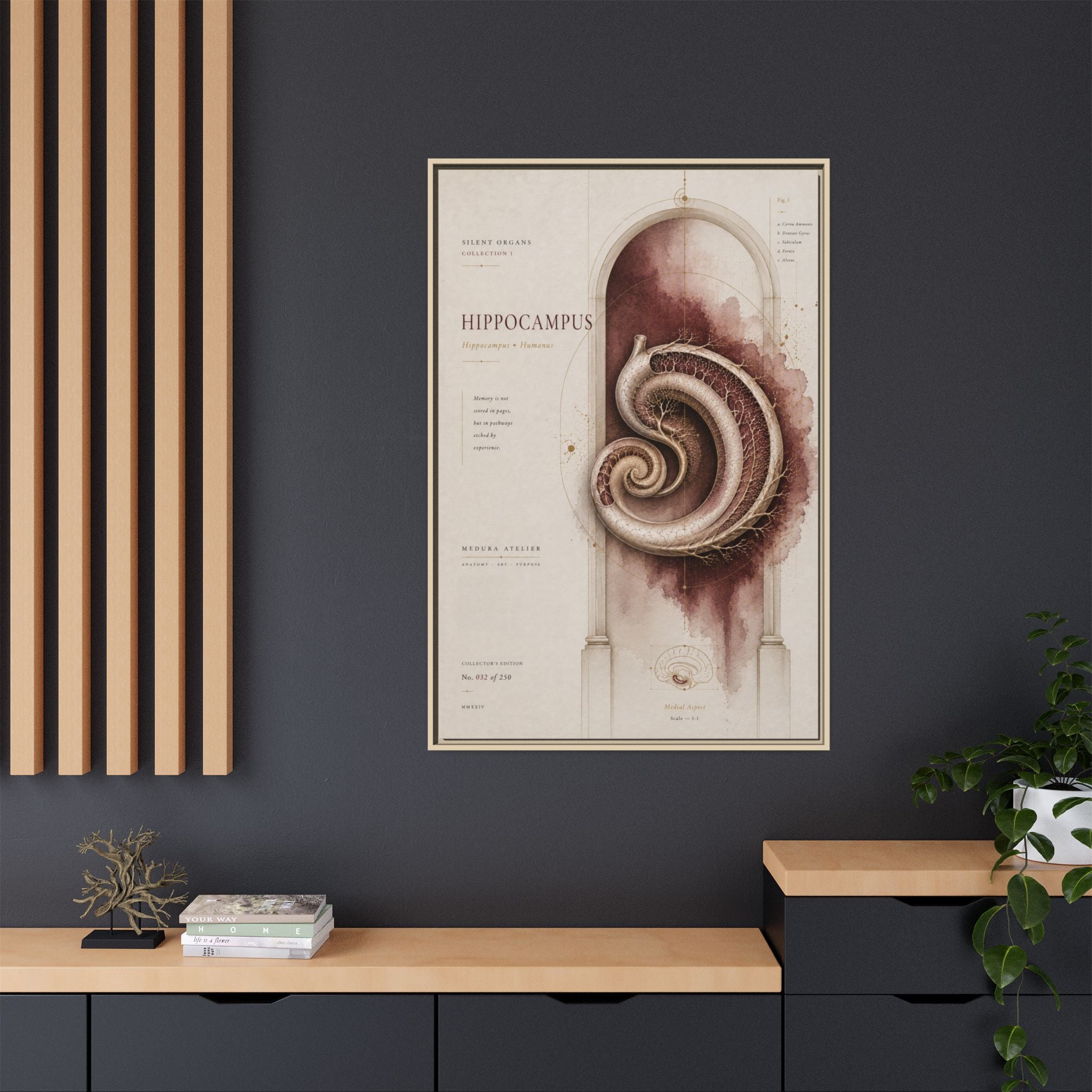 Silent Organs – Hippocampus Wall Art | Luxury Neuroscience Canvas Print | Museum-Inspired Fine Art