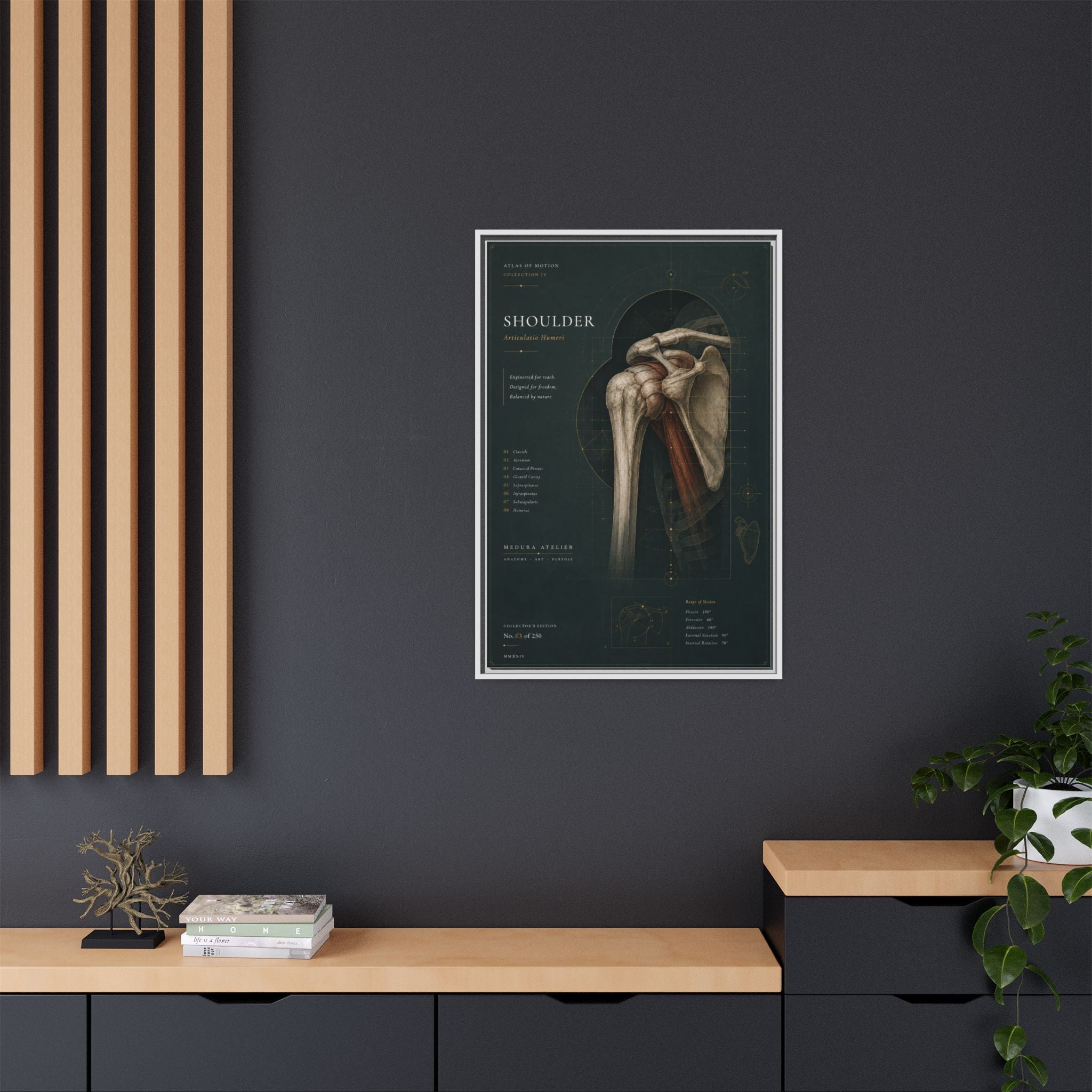 Copy of Atlas of Motion – Knee Wall Art | Luxury Orthopedic Canvas Print | Museum-Inspired Fine Art