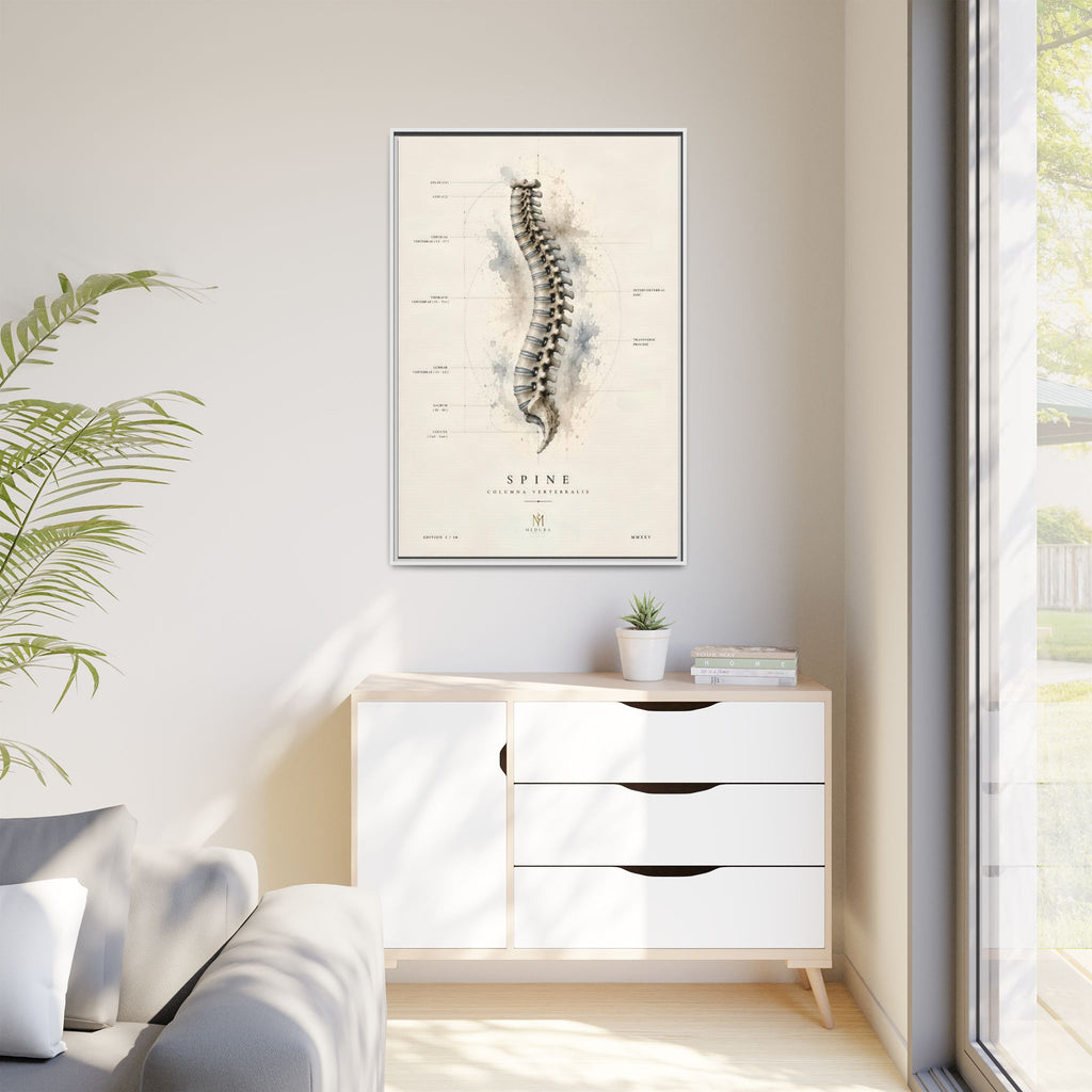 Anatomical Spine Wall Art | Luxury Vertebral Column Canvas Print | Museum-Inspired Fine Art