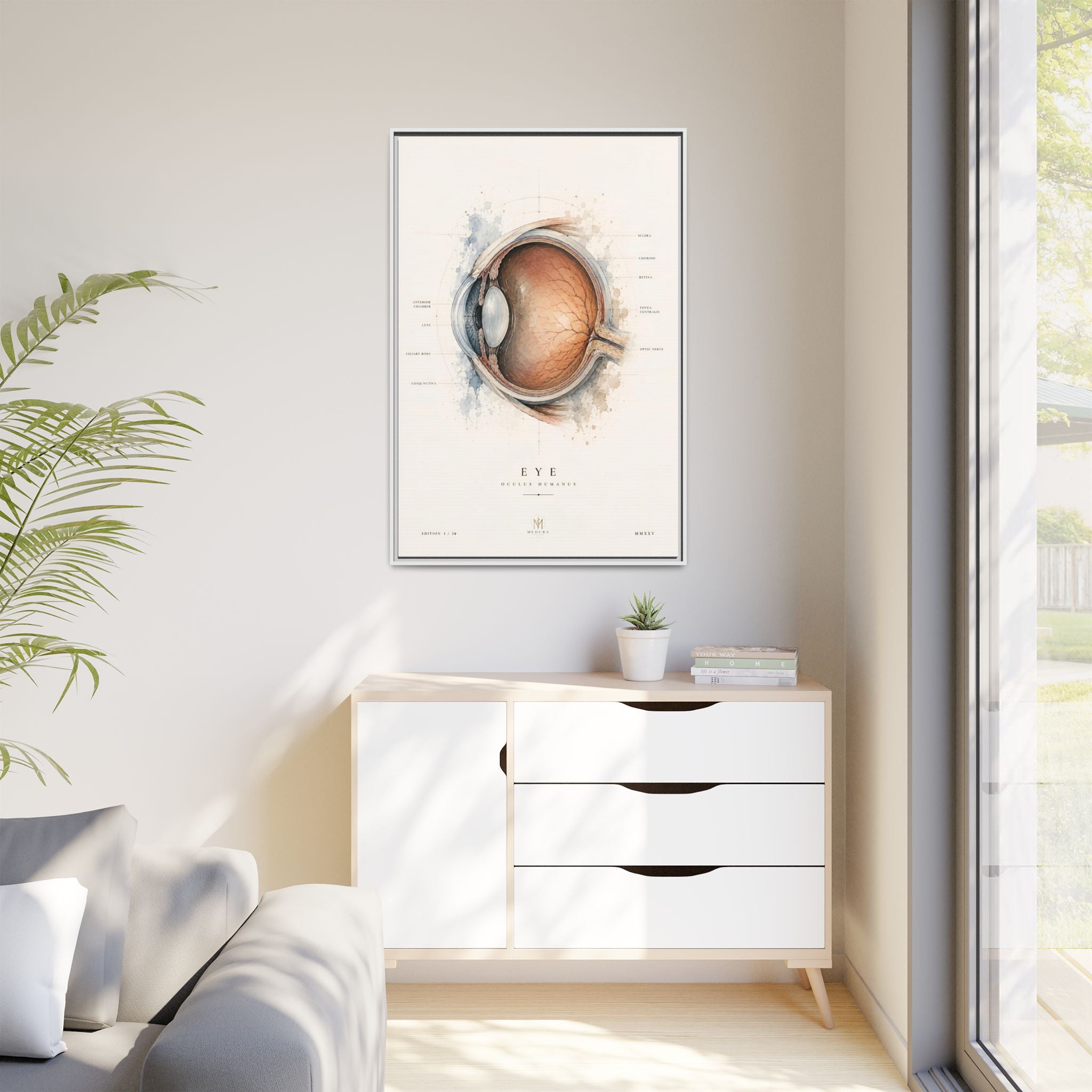 Anatomical Eye Canvas Print | Luxury Ophthalmology Wall Art | Museum-Inspired Medical Decor