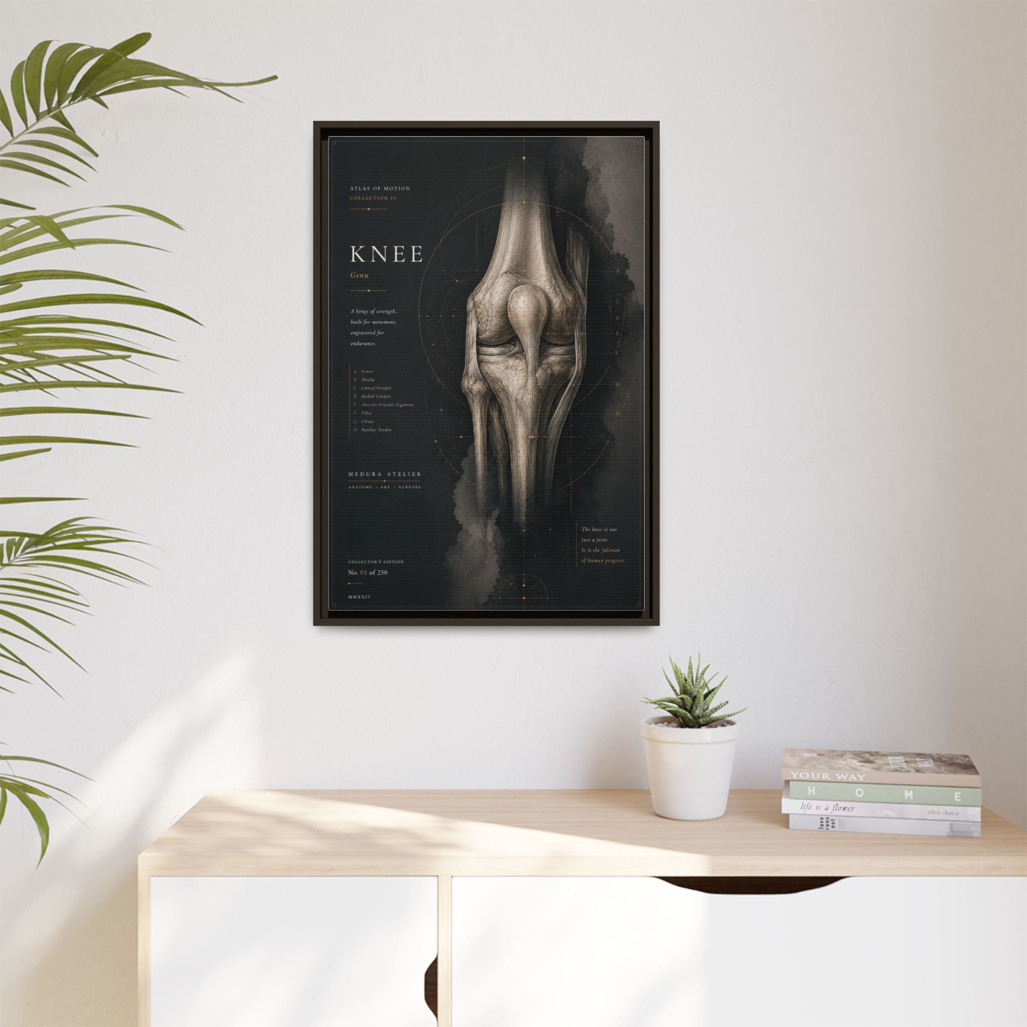 Atlas of Motion – Knee Wall Art | Luxury Orthopedic Canvas Print | Museum-Inspired Fine Art