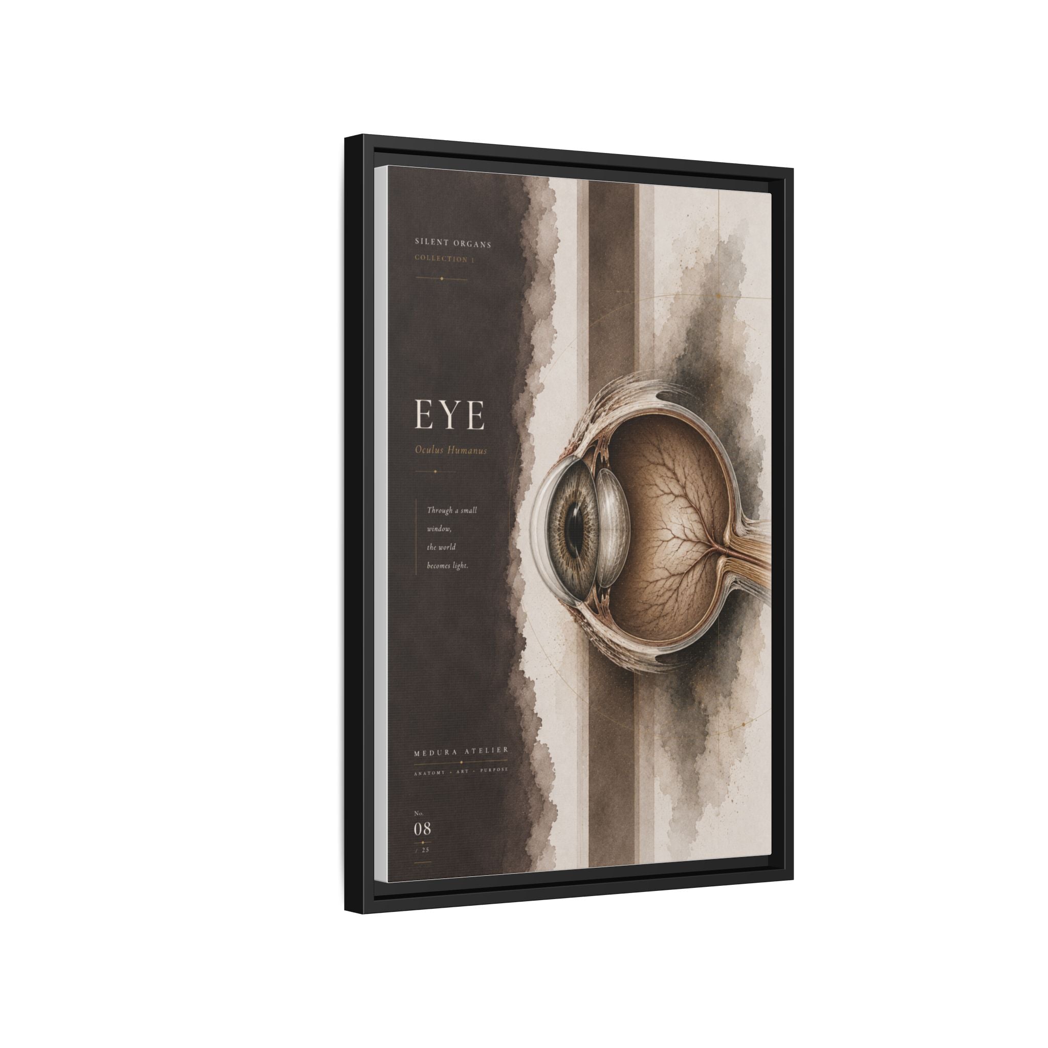Silent Organs – Eye Wall Art | Luxury Anatomical Canvas Print | Museum-Inspired Fine Art