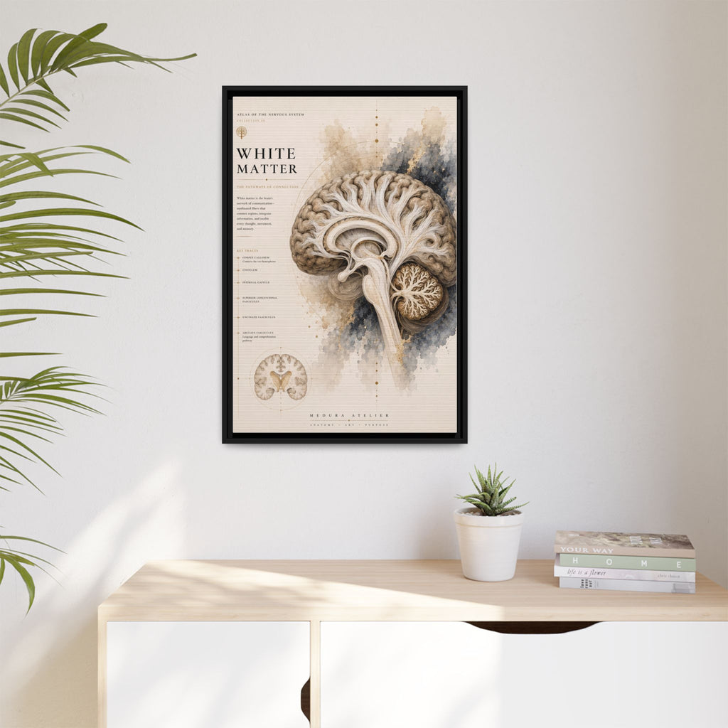 White Matter Brain Wall Art | Luxury Neuroscience Canvas Print | Museum-Inspired Fine Art