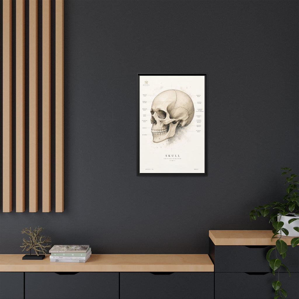 Anatomical Skull Wall Art | Luxury Medical Canvas Print | Museum-Inspired Fine Art