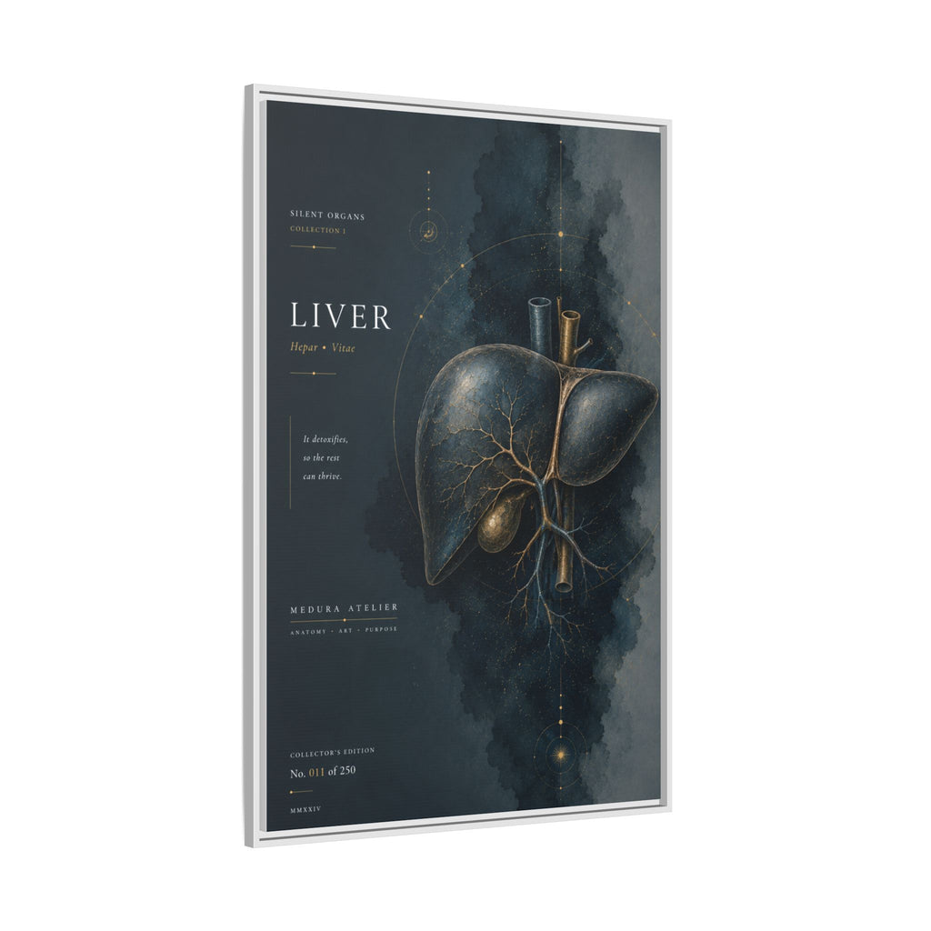 Silent Organs – Liver Wall Art | Luxury Anatomical Canvas Print | Museum-Inspired Fine Art
