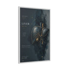 Silent Organs – Liver Wall Art | Luxury Anatomical Canvas Print | Museum-Inspired Fine Art