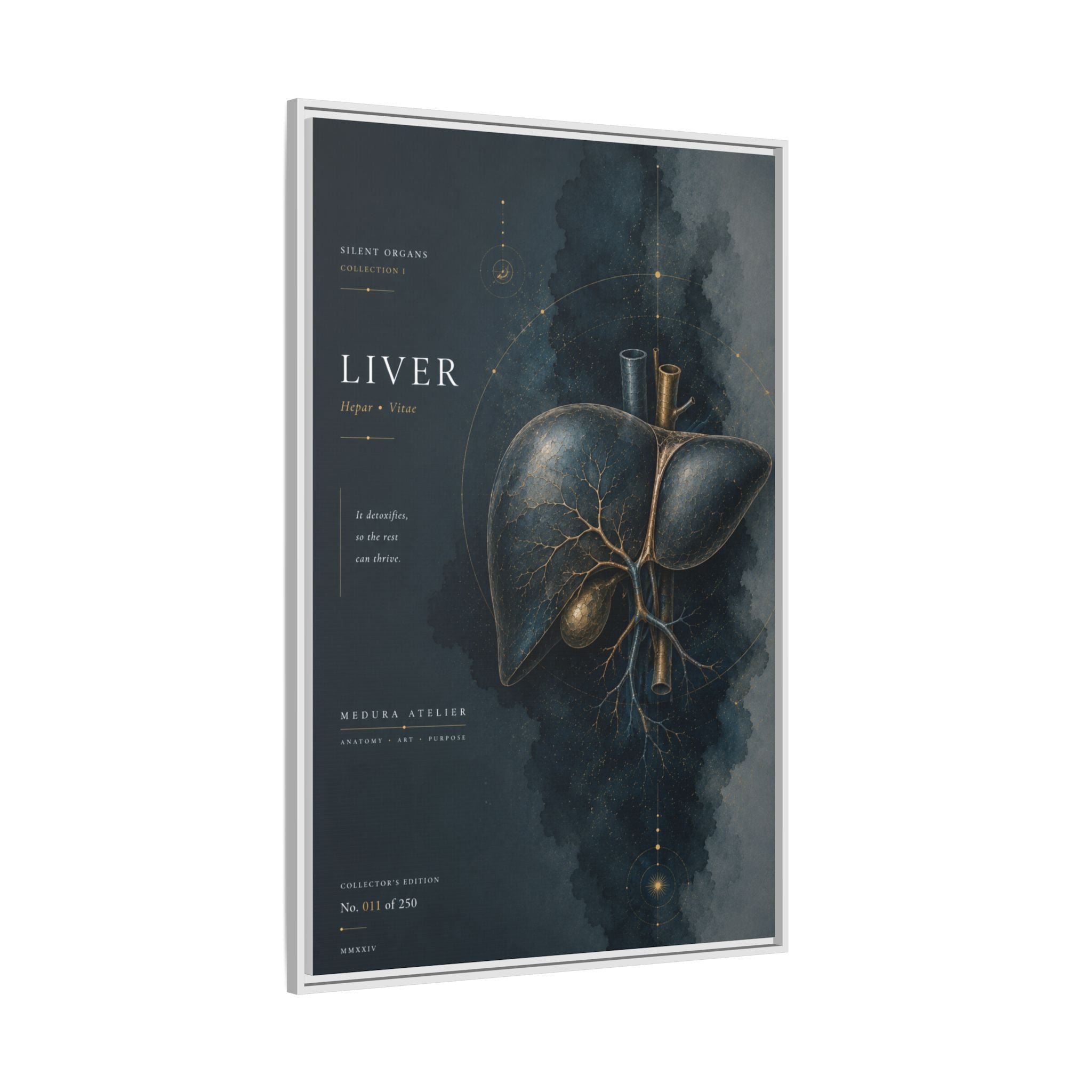 Silent Organs – Liver Wall Art | Luxury Anatomical Canvas Print | Museum-Inspired Fine Art