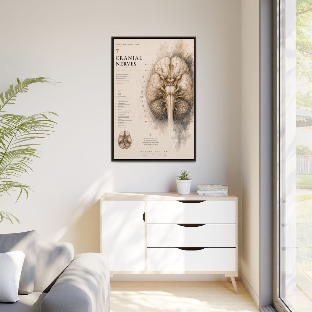 White Matter Brain Wall Art | Luxury Neuroscience Canvas Print | Museum-Inspired Fine Art