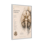 White Matter Brain Wall Art | Luxury Neuroscience Canvas Print | Museum-Inspired Fine Art