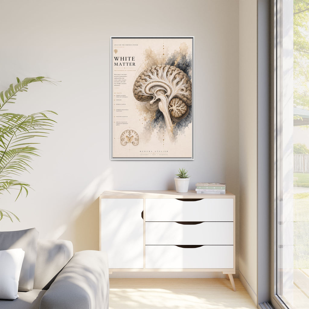 White Matter Brain Wall Art | Luxury Neuroscience Canvas Print | Museum-Inspired Fine Art