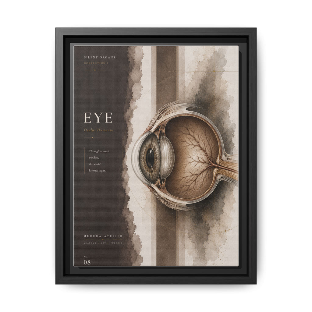 Silent Organs – Eye Wall Art | Luxury Anatomical Canvas Print | Museum-Inspired Fine Art