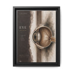 Silent Organs – Eye Wall Art | Luxury Anatomical Canvas Print | Museum-Inspired Fine Art