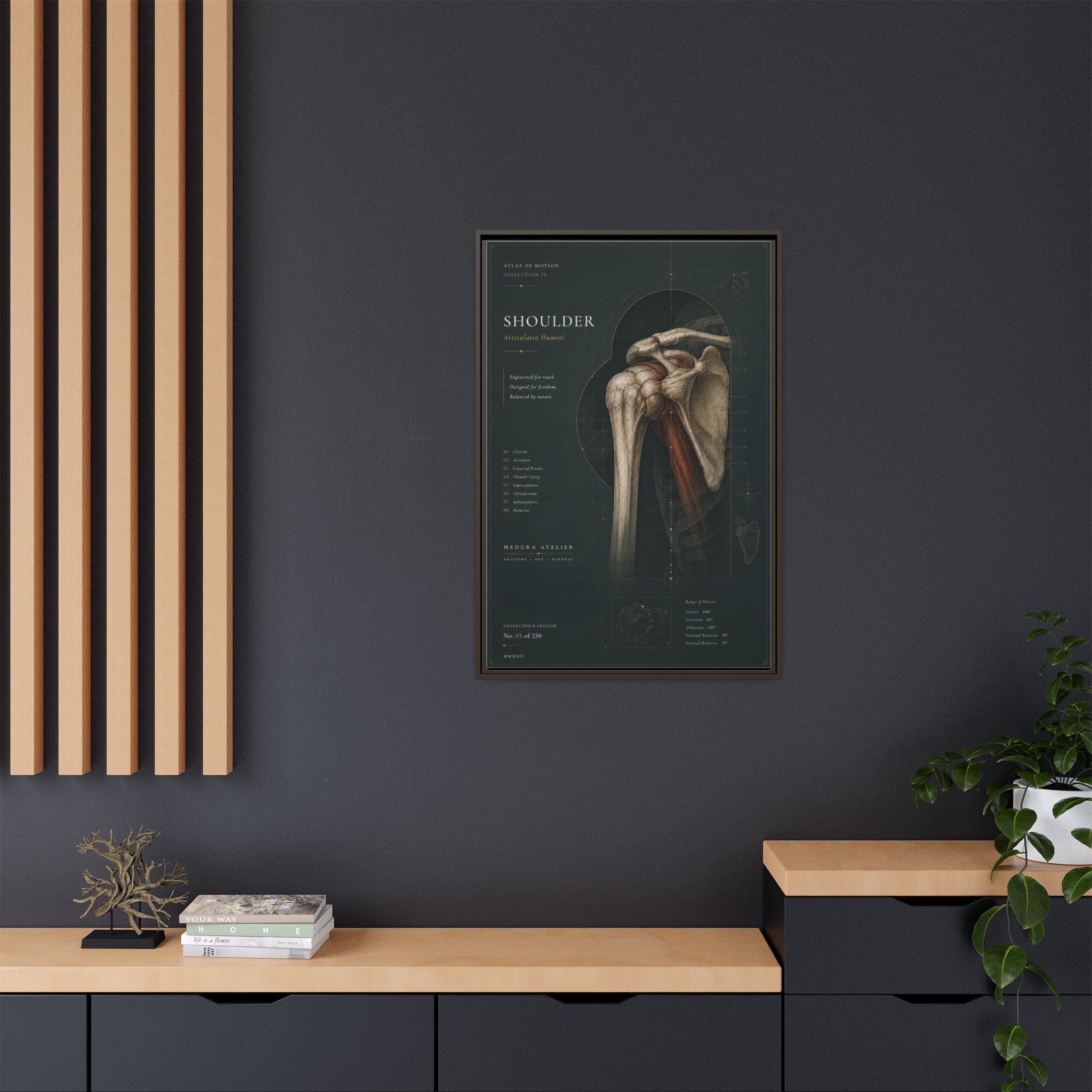 Copy of Atlas of Motion – Knee Wall Art | Luxury Orthopedic Canvas Print | Museum-Inspired Fine Art