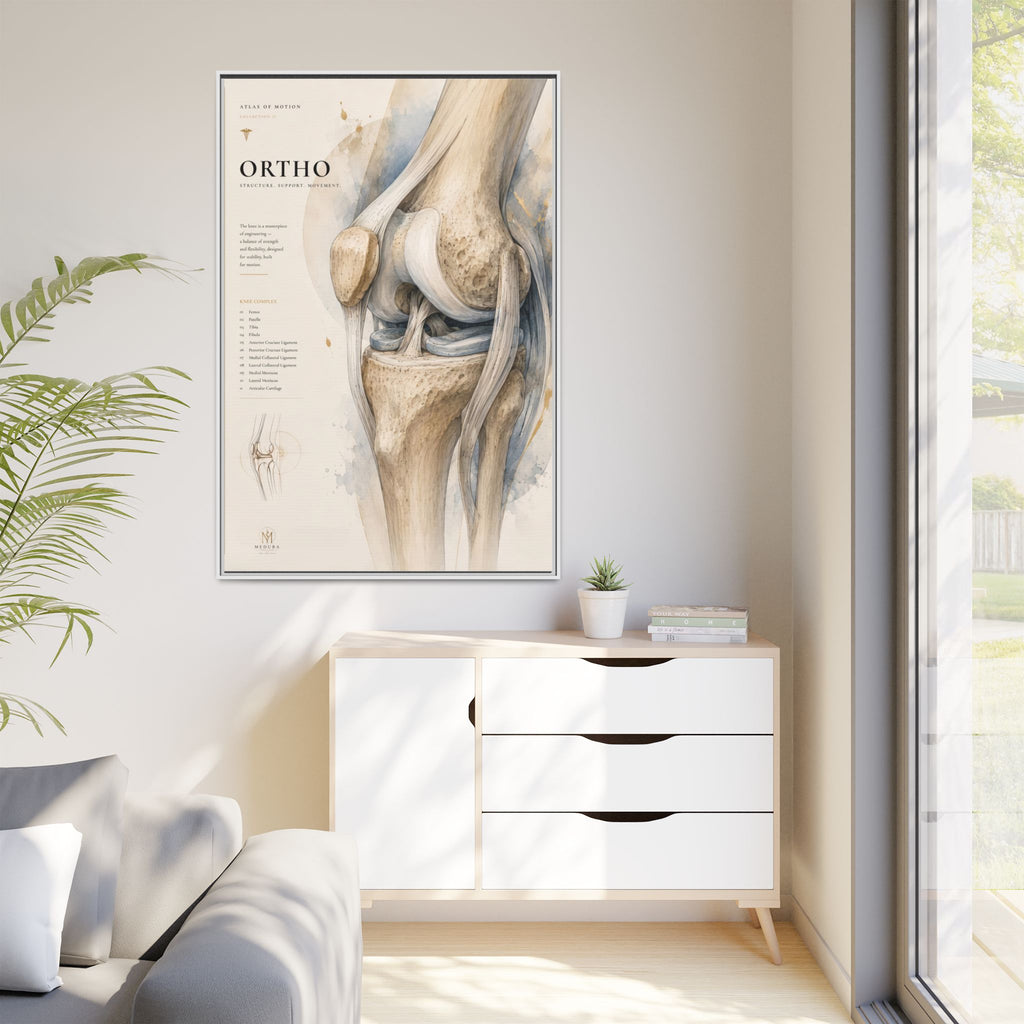Orthopaedic Knee Anatomy Wall Art | Luxury Orthopedic Canvas Print | Museum-Inspired Fine Art