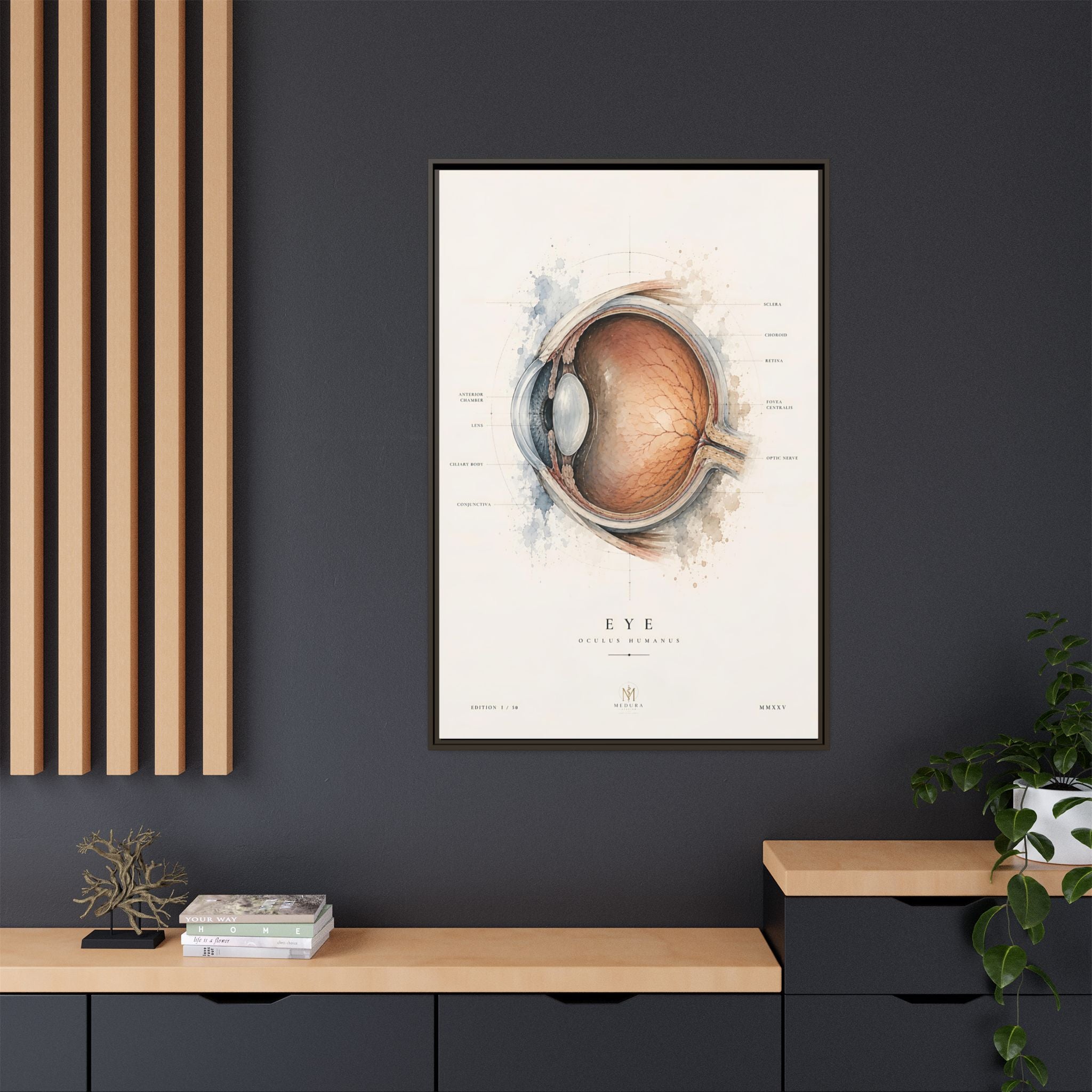 Anatomical Eye Canvas Print | Luxury Ophthalmology Wall Art | Museum-Inspired Medical Decor