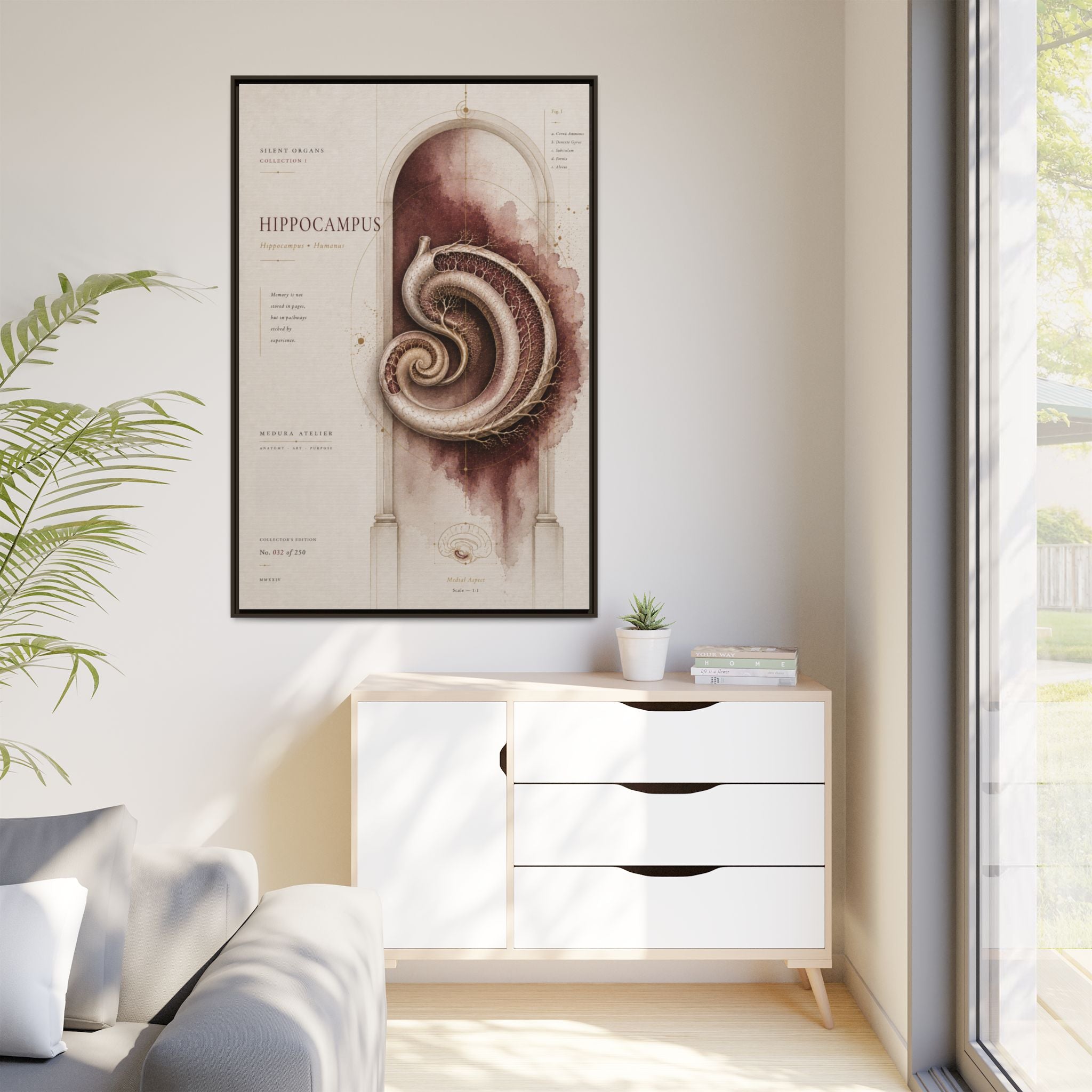 Silent Organs – Hippocampus Wall Art | Luxury Neuroscience Canvas Print | Museum-Inspired Fine Art
