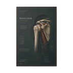 Copy of Atlas of Motion – Knee Wall Art | Luxury Orthopedic Canvas Print | Museum-Inspired Fine Art