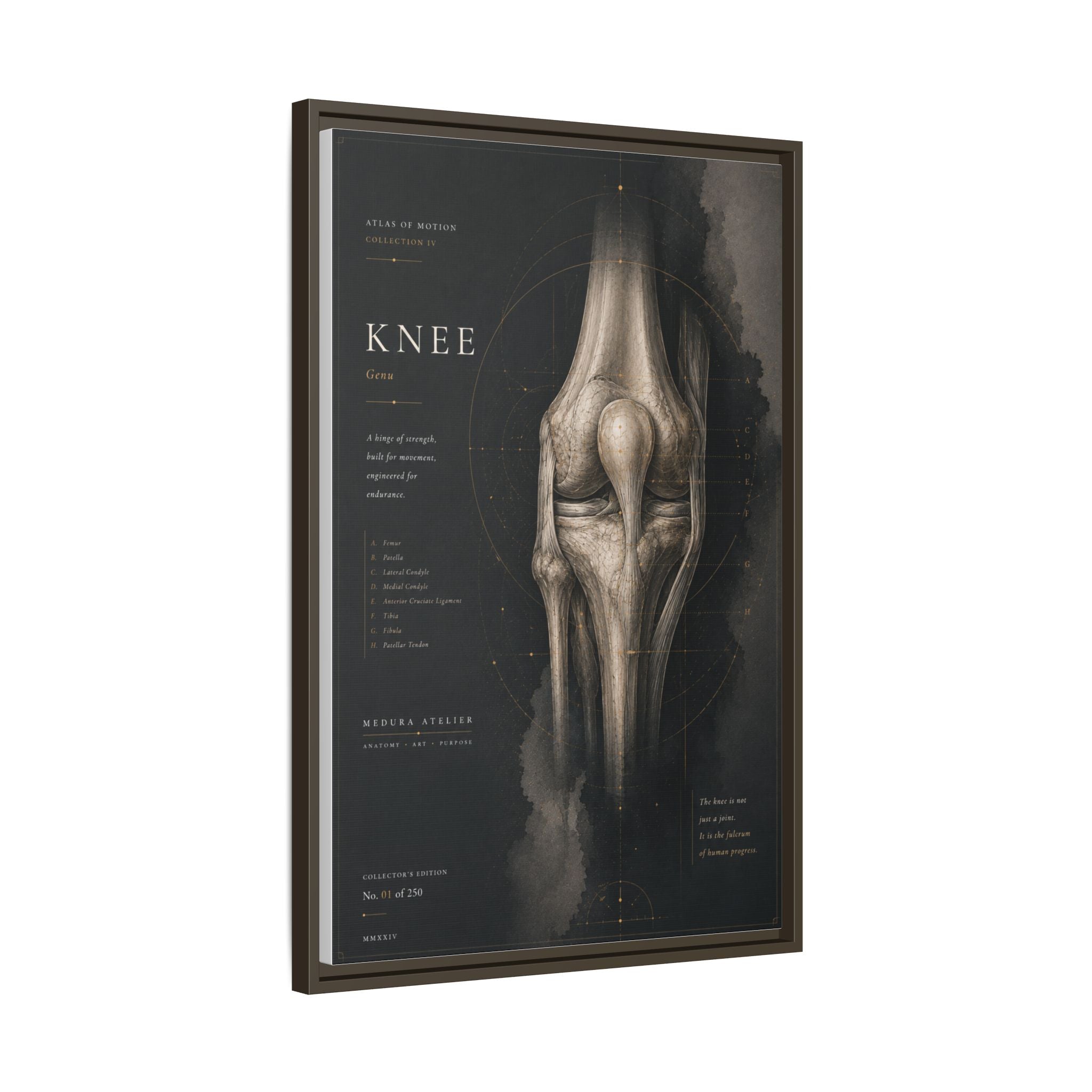 Atlas of Motion – Knee Wall Art | Luxury Orthopedic Canvas Print | Museum-Inspired Fine Art